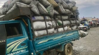 Camion Provenance de Dondon